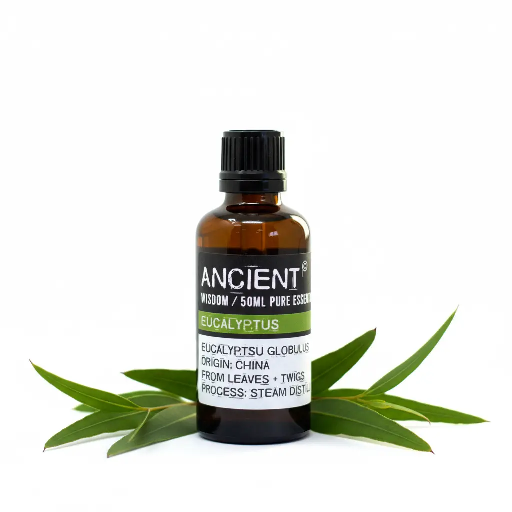 Con hojas eucalipto - proveedor